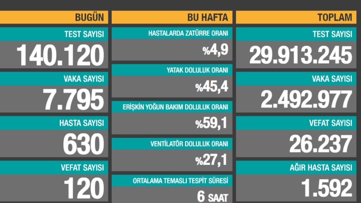 2 Şubat Türkiye'de koronavirüste son durum
