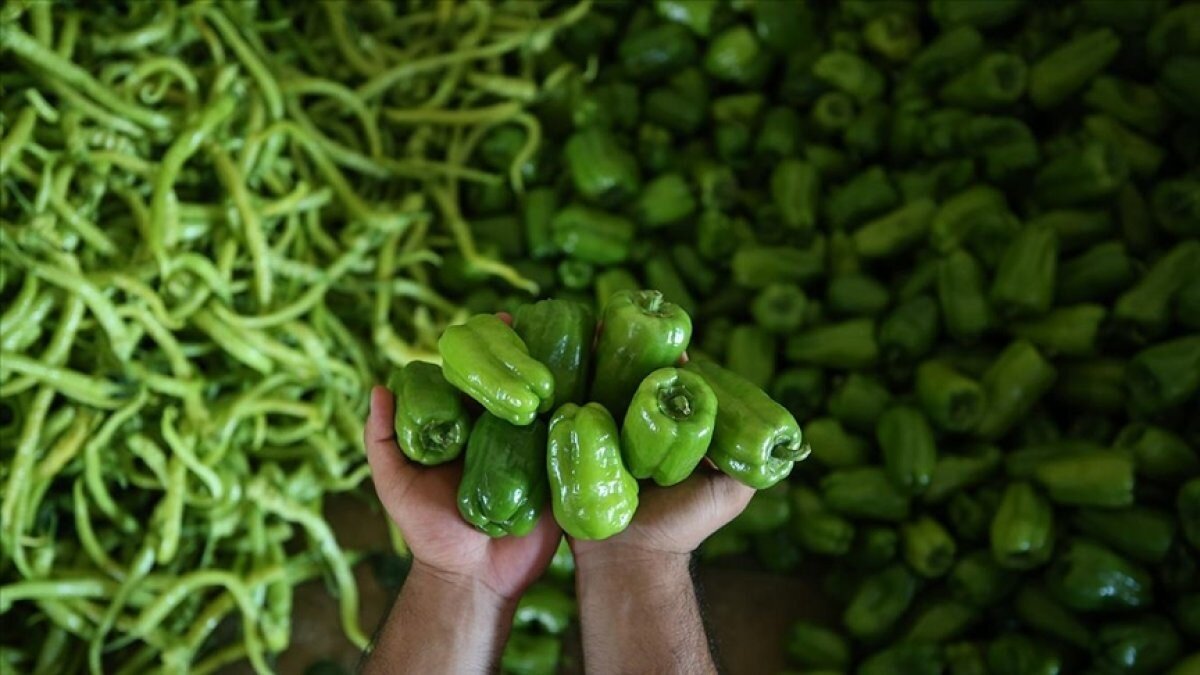 Şubat ayında fiyatı en fazla artan ürün dolmalık biber