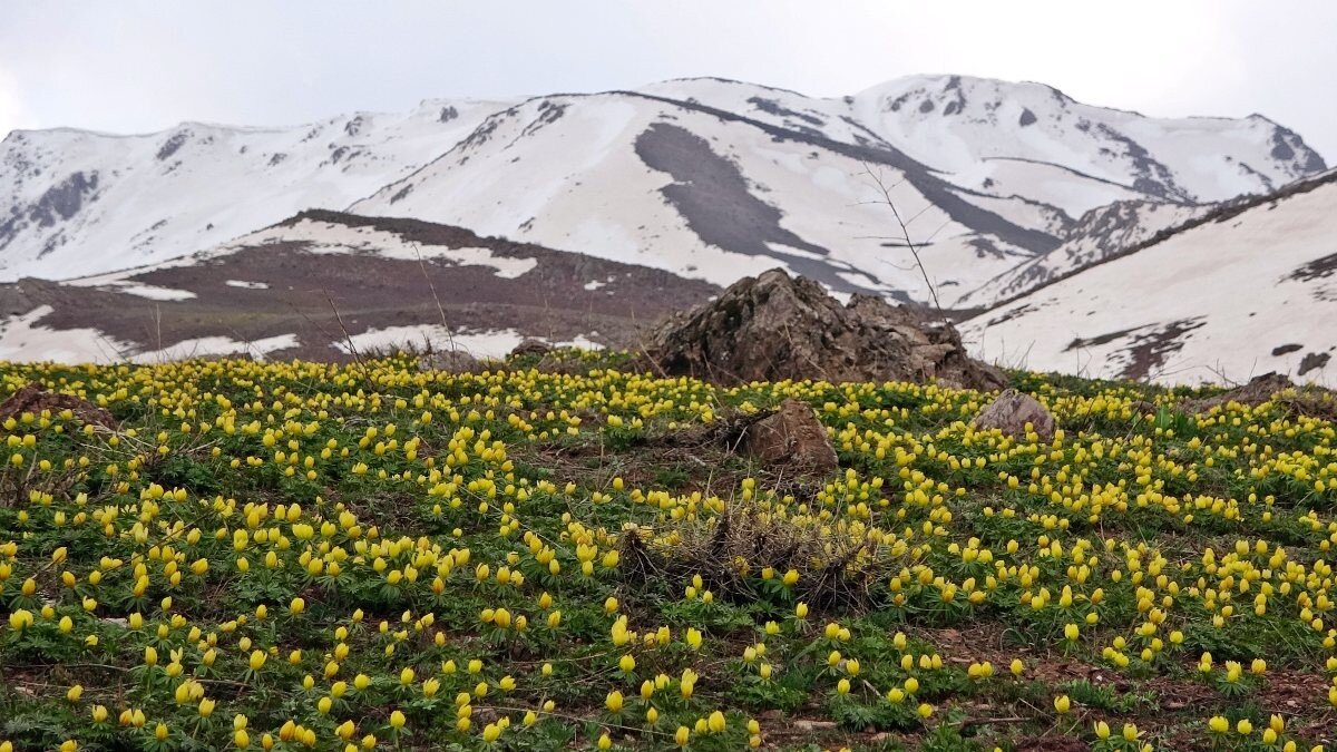 Yüksekova'da iki mevsim bir arada