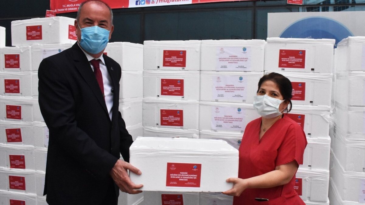 Muğla'da sağlık çalışanlarına 20 ton balık dağıtıldı