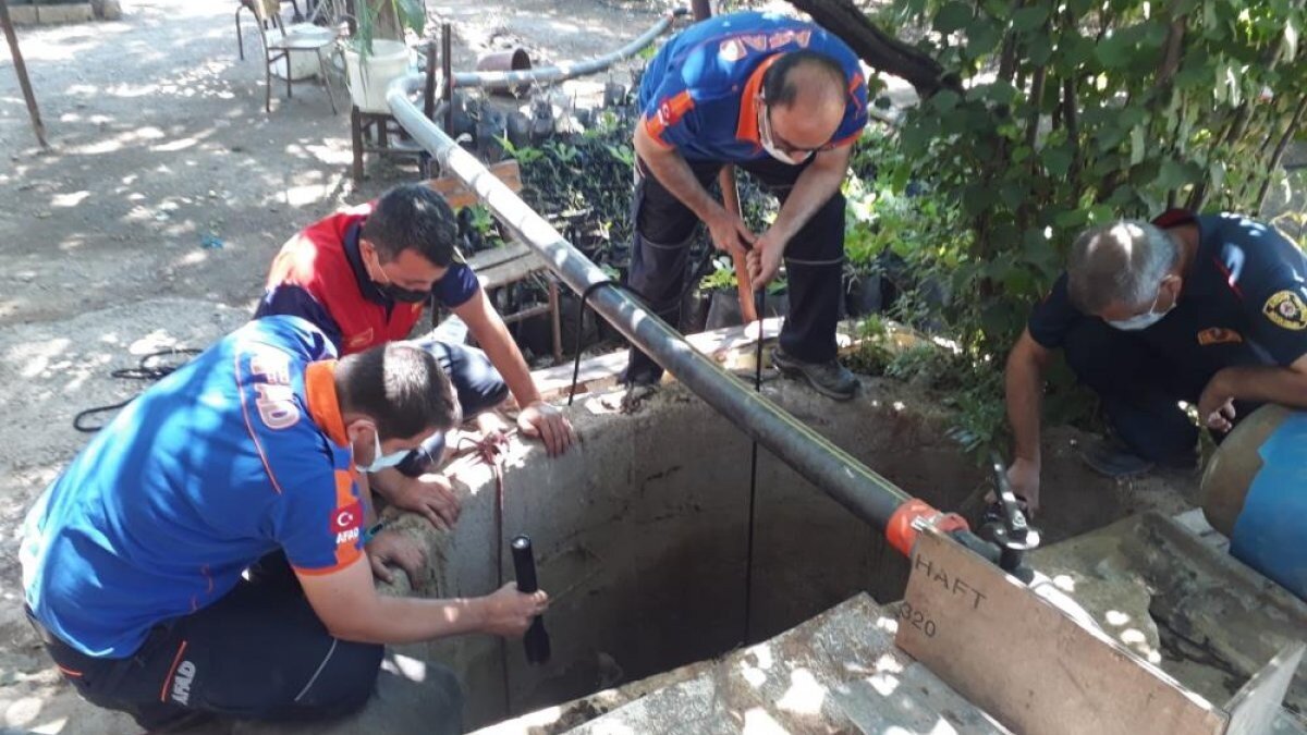 Aydın'da kuyuya düşen yavru kedi kurtarıldı