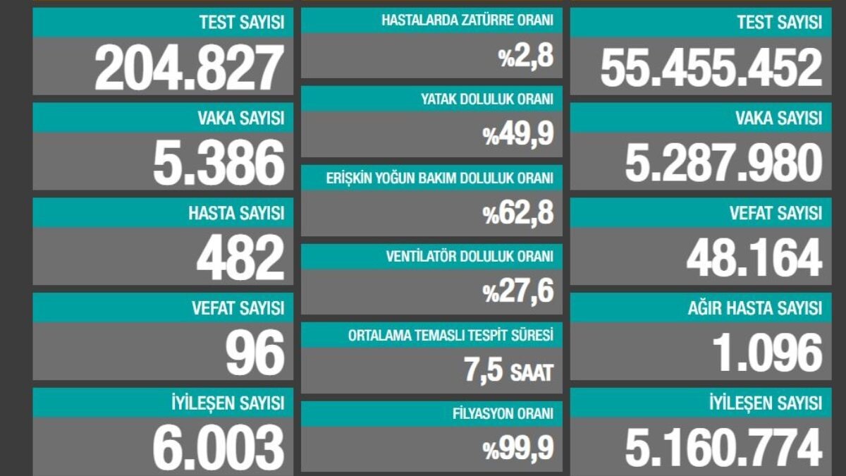 6 Haziran Türkiye'de koronavirüs tablosu