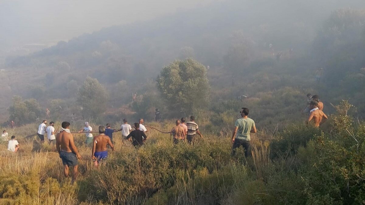 Datça'da makilik ve zeytinlik alanda yangın çıktı