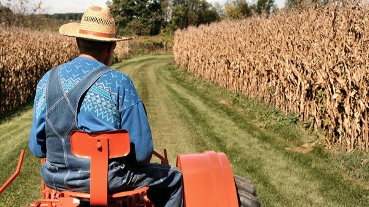 Çiftçilere ödenecek tarımsal destekler