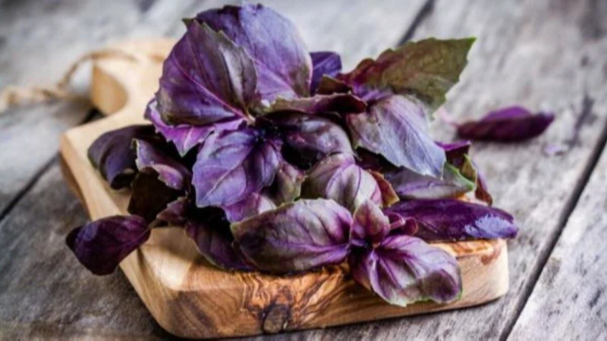 Tansiyon, şeker, kolestrol! İftardan sonra her şeyi dengeleyen şerbet...