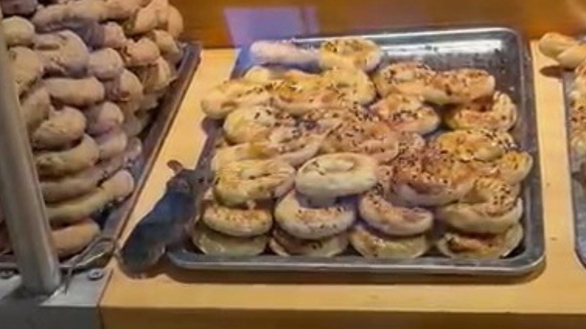 İstanbul'daki zincir markete giren fare, reyonda karnını doyurdu