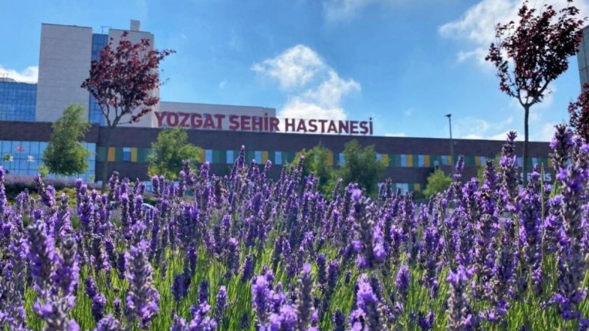 Yozgat Şehir Hastanesi'nin bahçesindeki lavantalar beğeni topluyor