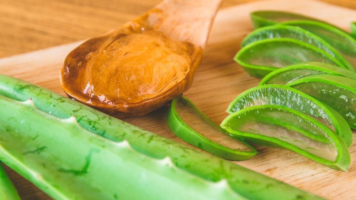 Aloe veranın şaşırtıcı 40 farklı kullanımı