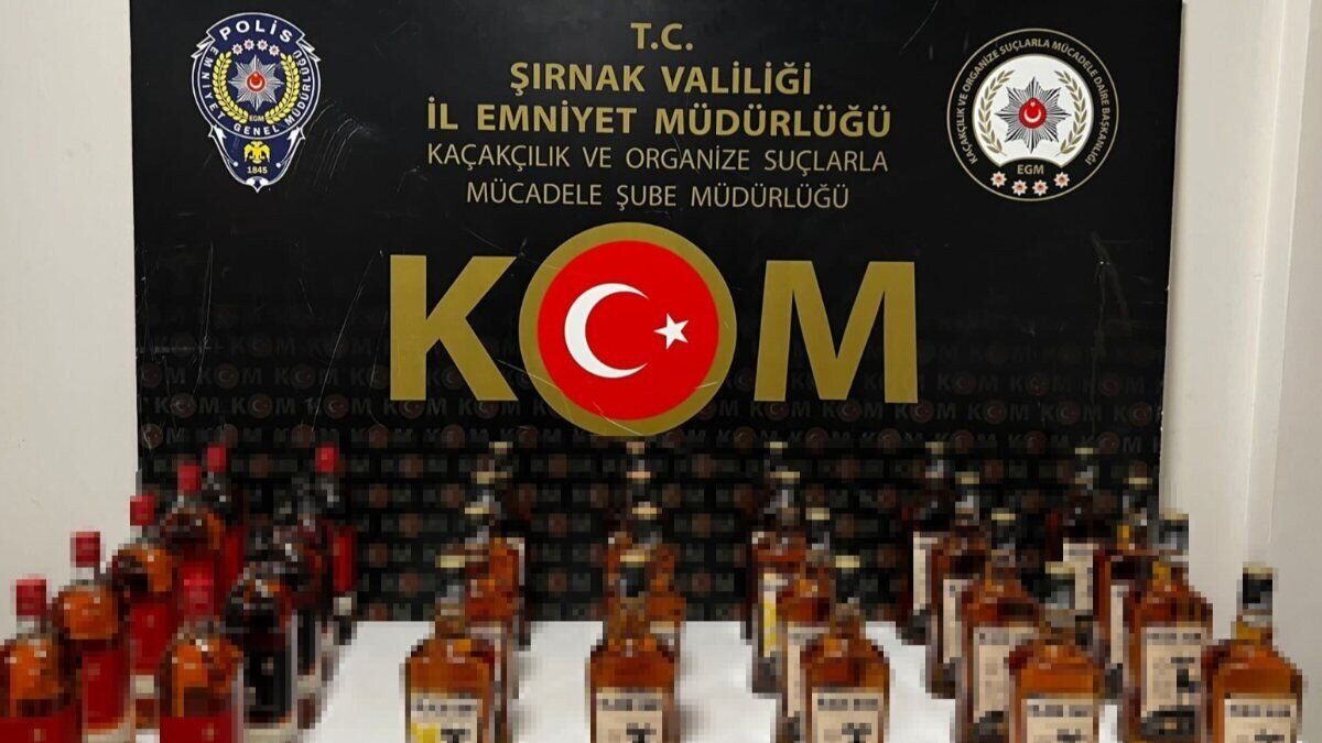 Şırnak'ta yapılan operasyonlarda 65 şüpheli gözaltına alındı