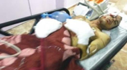 Yeşil kartlı terörist