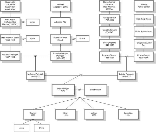 Perinçek Ermeni değilim deyip soyağacını açıkladı