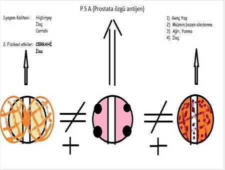 Her yıl 2 milyon erkek bu hastalığa yakalanıyor