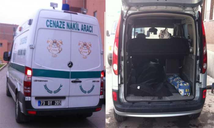 Şırnak'ta cenazenin binek araçla taşınmasına tepki
