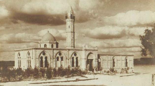 Camide içki festivali