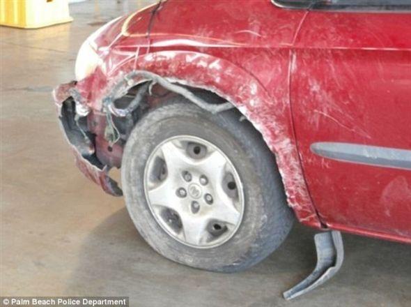 Pitbull araba parçaladı