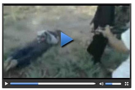 Muhaliflerin Suriye askerini infaz görüntüleri