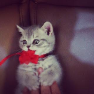 Murat Boz: Büyük acı yaşıyorum