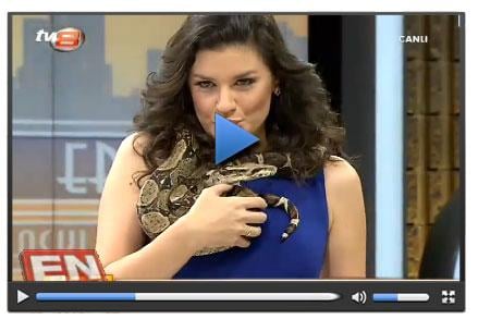 Oylum Talu'dan canlı yayında yılan dansı