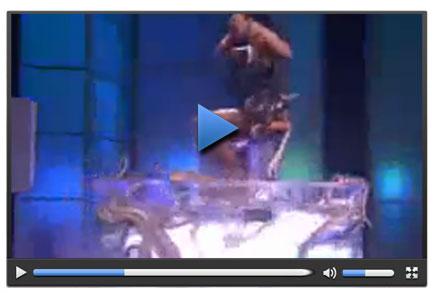 Seksi genç kızın yılanlarla imtihanı- Tıkla İzle