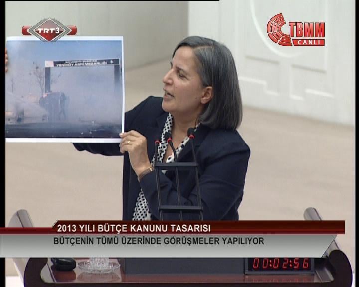 BDP'li Kışanak'ın bütçe görüşmeleri konuşması