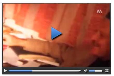 Nazım Hikmet'in kızı Anna: Sovyetler babamı kullandı