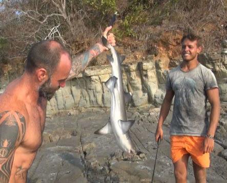 Survivor'da Gönüllüler köpekbalığı yakaladı