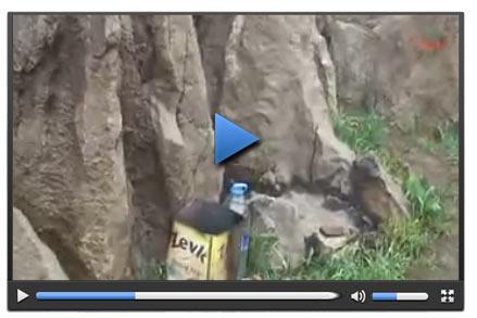 PKK'lılar sınır dışına çıkmaya başladı