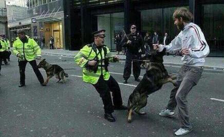 Londra'daki G8 olayları sürüyor