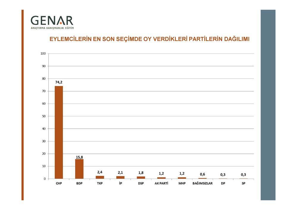 En ayrıntılı Gezi eylemcileri anketi