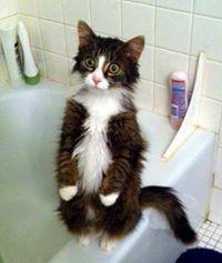 Taksim Meydanı'nda duran bir adam - izle