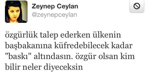 Gonca Vuslateri'nin Erdoğan'a küfür tweet'i