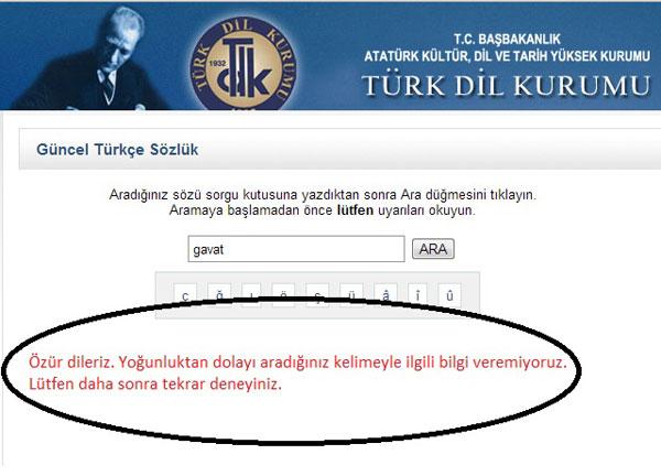 Adana Valisi'nin gavat sözü TDK'yı da salladı