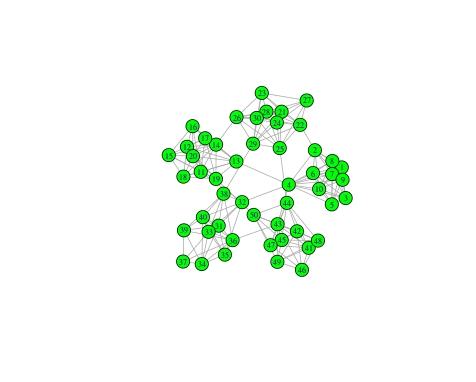 Cemaat'in network yapılanması