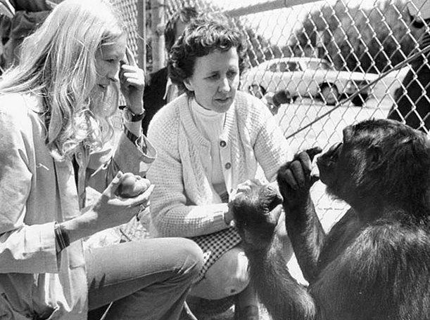 Hayvanların insanlara olan 14 benzerliği