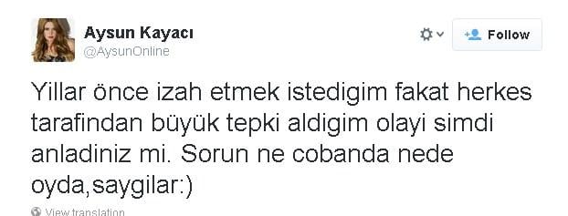 Aysun Kayacı: Sorun ne çobanda ne oyda