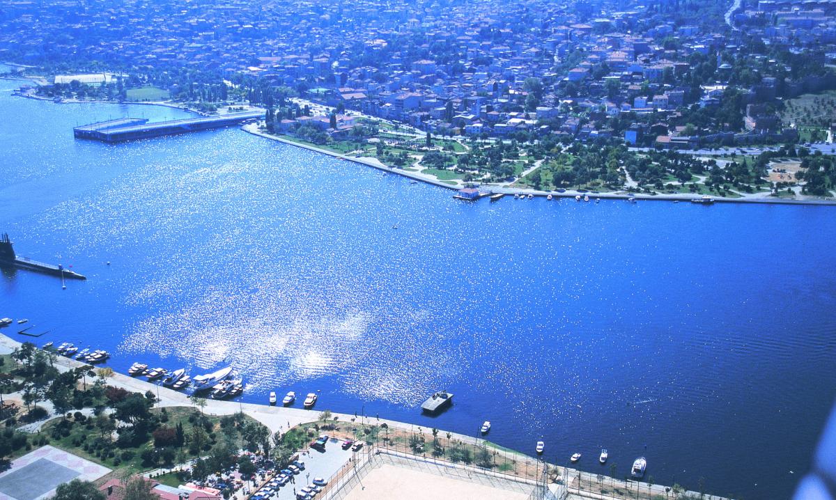 Haliç'te 47 farklı canlı türü tespit edildi