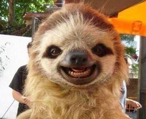 Gülmek için bir nedeni olmayan 30 mutlu hayvan