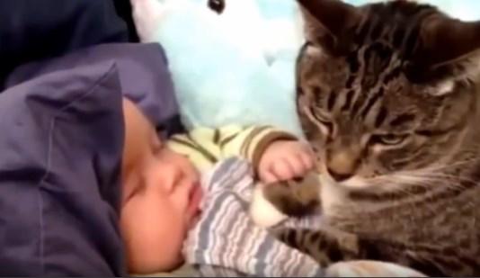 Bebeklerle hayvanların sevimli halleri İZLE