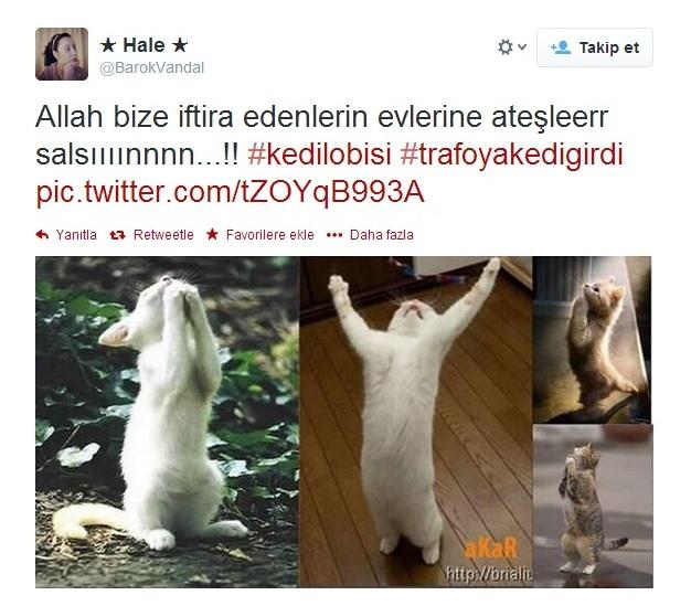 Sosyal medyada kedi-trafo esprileri