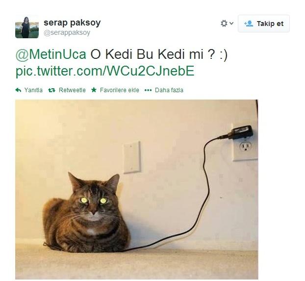 Sosyal medyada kedi-trafo esprileri