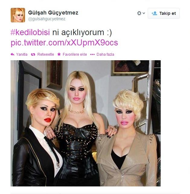 Sosyal medyada kedi-trafo esprileri