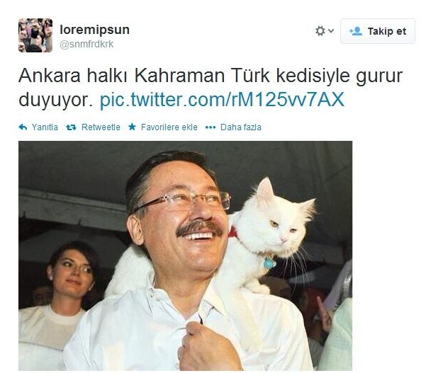 Sosyal medyada kedi-trafo esprileri