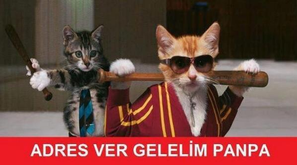 Sosyal medyada kedi-trafo esprileri