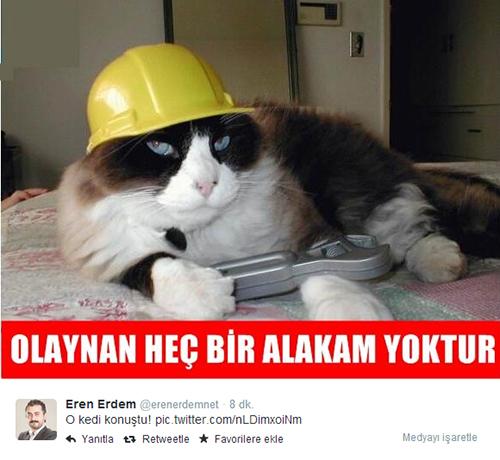 Sosyal medyada kedi-trafo esprileri