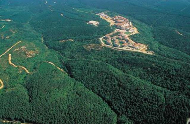 3. köprüye hayır diyenlerin Sarıyer ormanı villaları