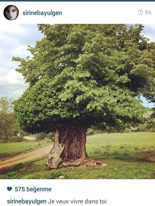 Gelen tepkiler Şirin Bayülgen'e fotoğraf sildirtti