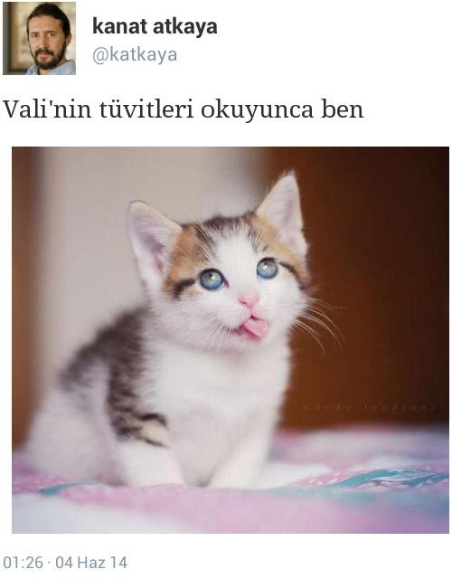 İstanbul Valisi Mutlu'dan sağanak sonrası Üsküdar geyiği