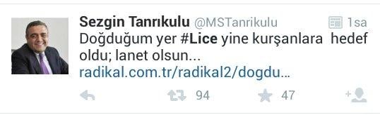 Lice'de aslında ne oluyor