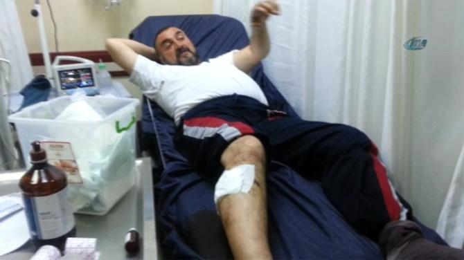 Aydın'da bir kişi kendisine saldıran köpeği boğarak öldürdü