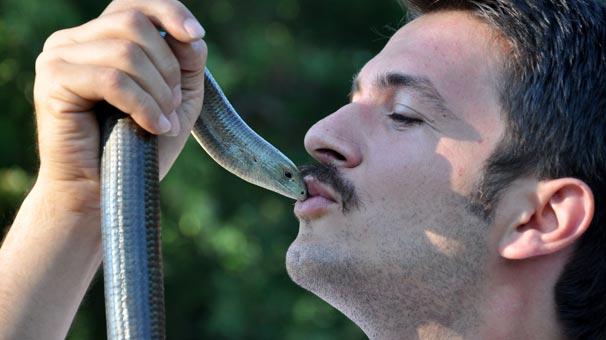 Yılan sanılıp öldürülen oluklu kertenkele